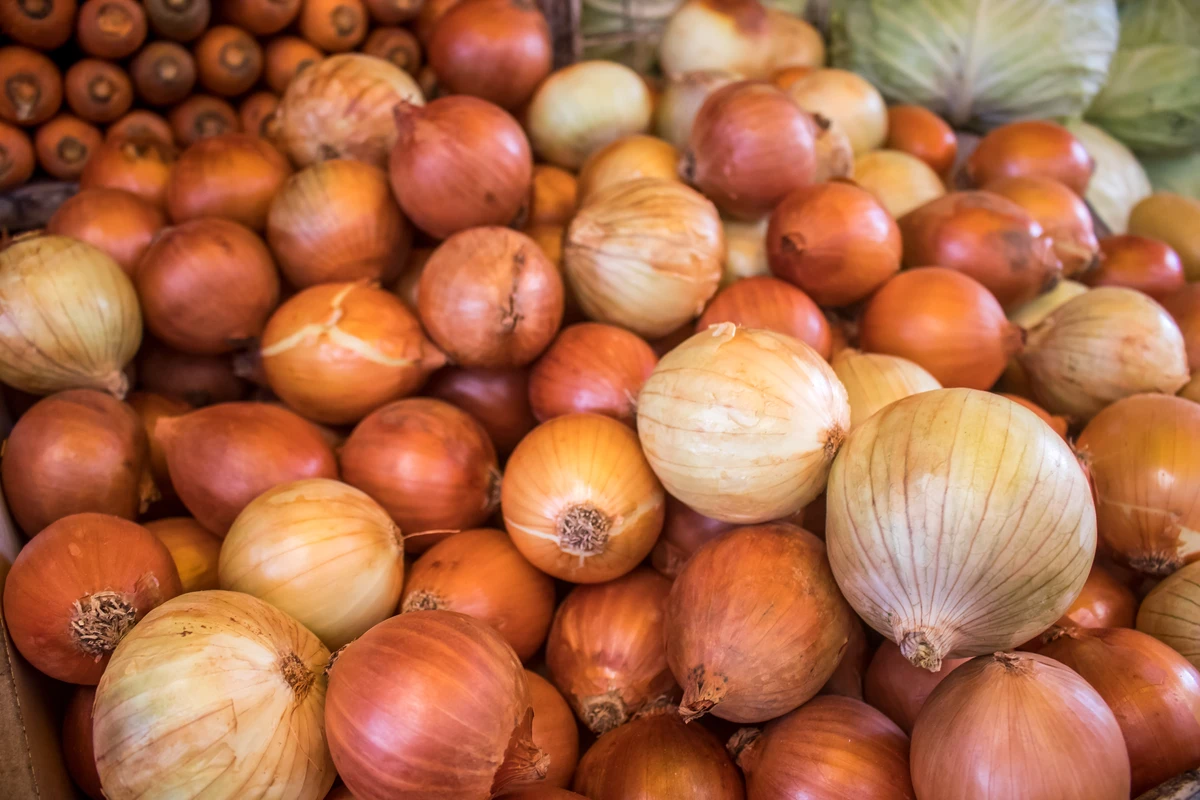 8º) Cebola. Foram 241 amostras, com 43 insatisfatórias (17,8%). O ativo glifosato foi o mais encontrado acima do permitido.   por Nara Gentil/Arquivo CORREIO