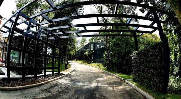 O jardim está aberto ao público de terça a sexta-feira, das 8h às 17h, e aos sábados, das 8h às 14h. As visitas guiadas são oferecidas nas terças, quartas e quintas-feiras, tanto pela manhã quanto pela tarde. Para agendamento, os interessados podem entrar em contato pelos telefones (71) 3202-5667 e 3202-5666 ou pelo e-mail (jardim.botanico@salvador.ba.gov.br). por Valter Pontes