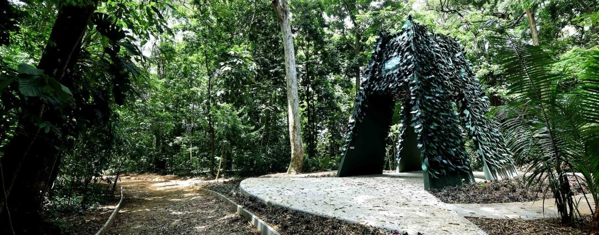 No bairro de São Marcos, o Jardim Botânico de Salvador possui espaços temáticos, a exemplo do Jardim Etnobotânico, aliando a biodiversidade local e a ancestralidade afro-brasileira. Além de concentrar mais de 61 mil espécies de plantas, o lugar possui uma área de 17 hectares, abrigando, além do herbário, laboratórios, acervo científico, coleção viva de plantas, auditório e uma área dedicada à contemplação das copas das árvores. por Valter Pontes