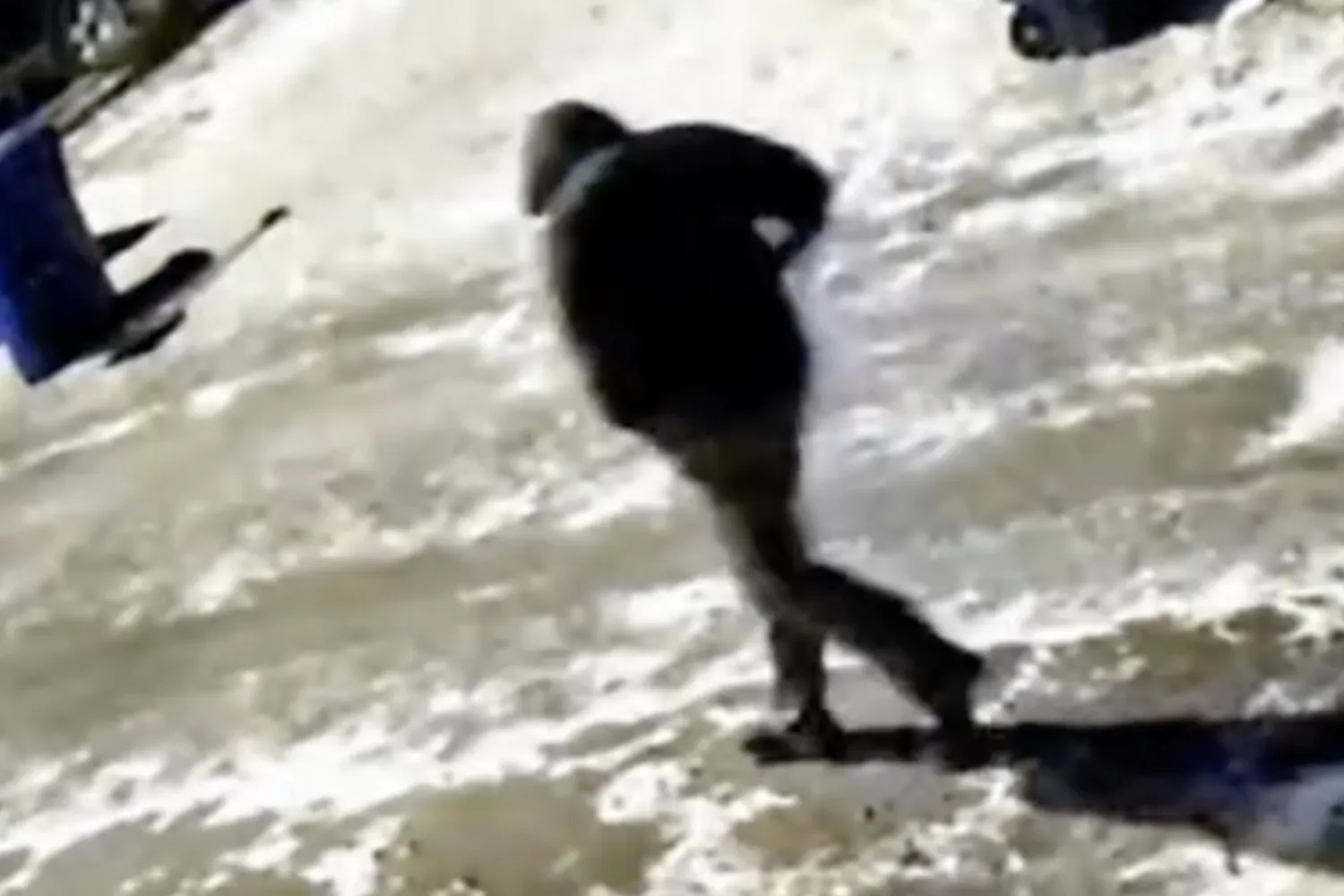 Suspeito de matar casal foi flagrado por câmeras por Reprodução