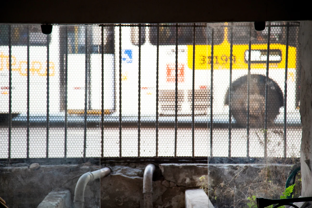 Palácio da Associação Comercial da Bahia guarda registros da história do Brasil por Sora Maia/CORREIO
