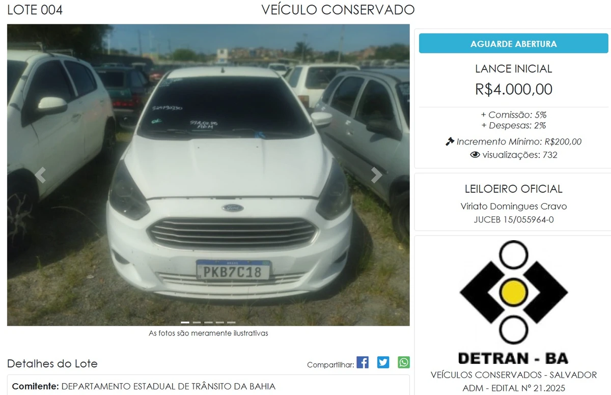 Leilão do Detran por Reprodução