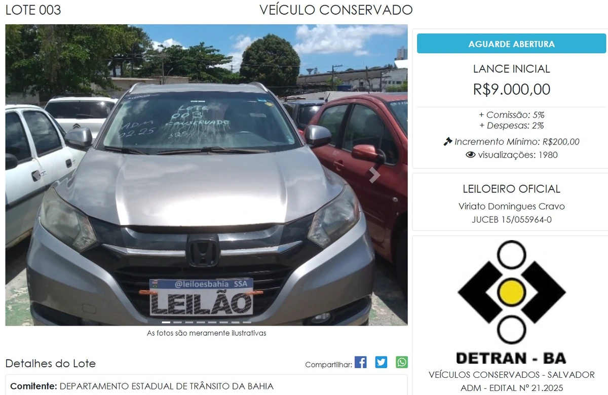 Leilão do Detran por Reprodução