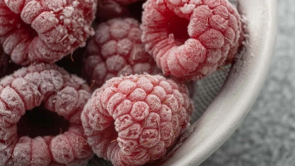 Praticidade e nutrição se unem nestas escolhas que reduzem o colesterol e protegem suas artérias