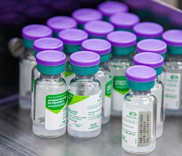 Vacina Hepatite A: A vacina contra a hepatite A é altamente eficaz e segura, sendo a principal medida de prevenção contra a infecção.

A gestação e a lactação não representam contraindicações para a imunização. Atualmente, faz parte do calendário infantil, no esquema de 1 dose aos 15 meses de idade (podendo ser utilizada a partir dos 12 meses até 5 anos incompletos – 4 anos, 11 meses e 29 dias). por Reprodução