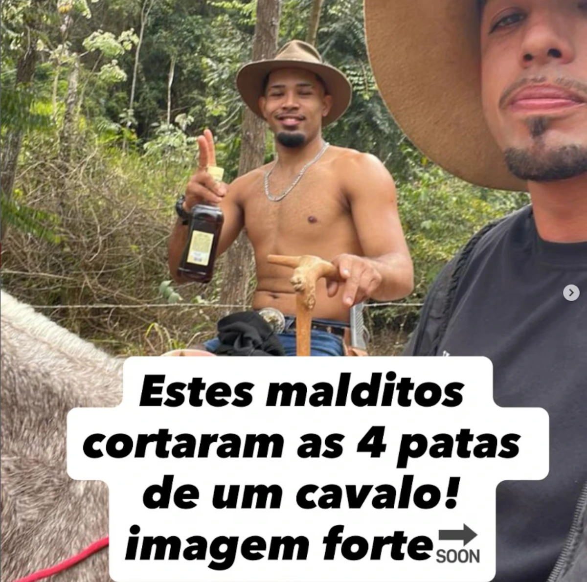 Ataque a cavalo aconteceu em Bananal
