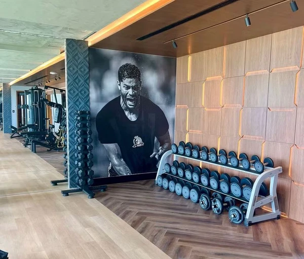 Detalhes da casa de Hulk por Reprodução