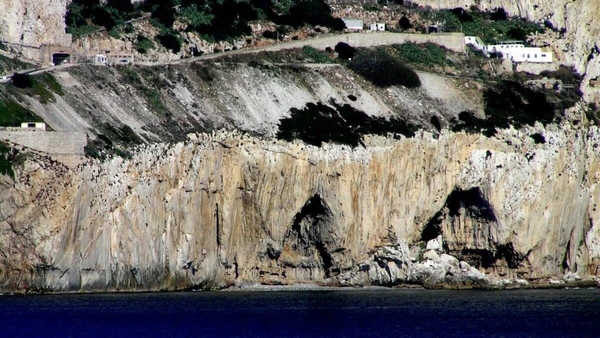 O complexo de cavernas de Gorham, no Rochedo de Gibraltar 