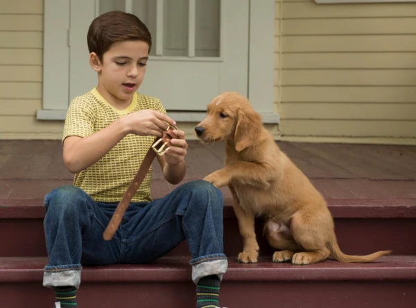 Filme é exibido na Sessão da Tarde por Reprodução