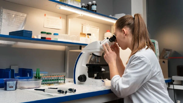 Resultados de experimentos levantam mais dúvidas do que respostas