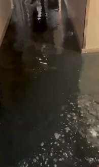 Alagamento em navio de cruzeiro que tinha como destino Salvador por Reprodução