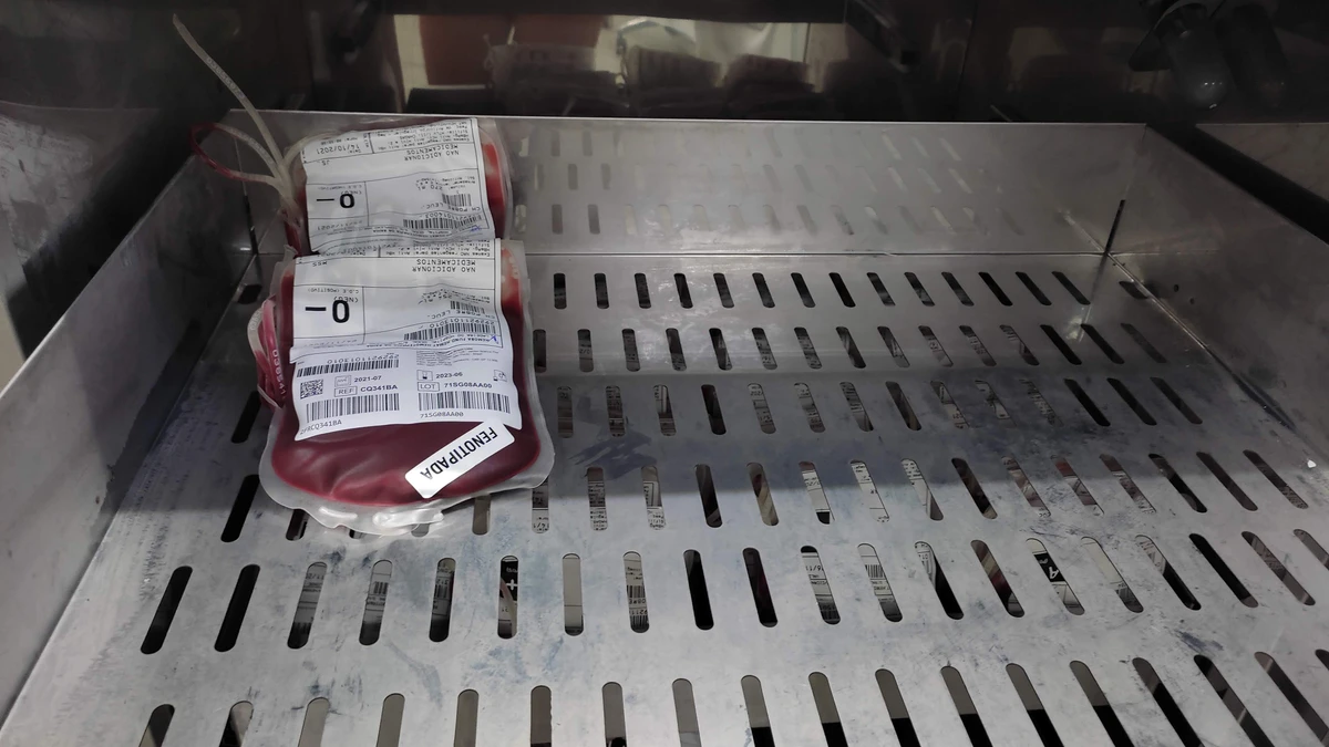 Bancos de snague enfren