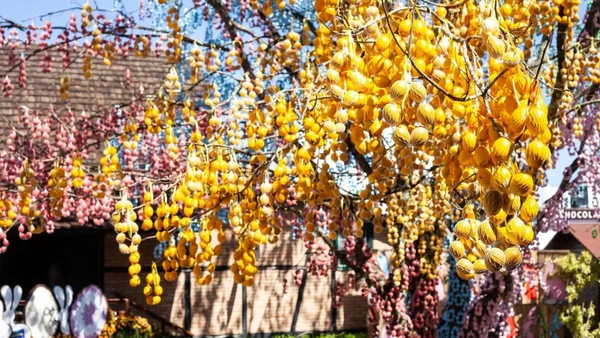 Entre as atrações está o maior ovo de Páscoa decorado do mundo, com 16 metros de altura por Divulgação/Prefeitura de Pomerode