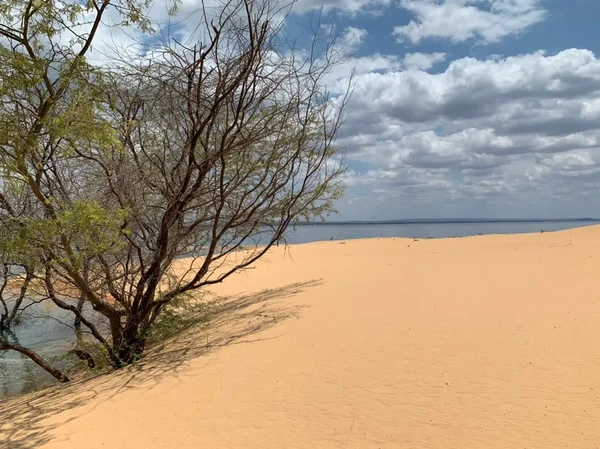 Ilha de Rarrá por Lafaete Vaz/g1 Caruaru