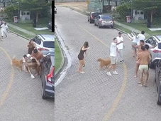 Imagem - Mordida no nariz e mais: Jogadores do Fortaleza se envolvem em briga generalizada após reclamação de som alto