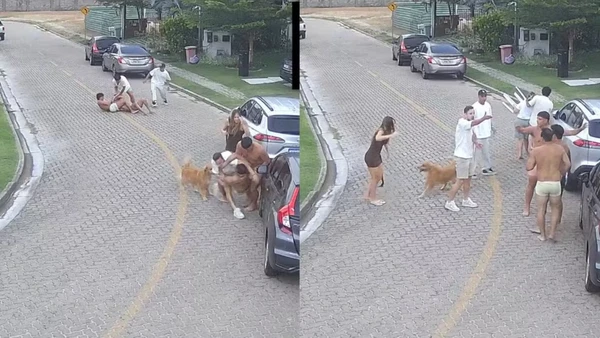 Briga generalizada com jogadores do Fortaleza