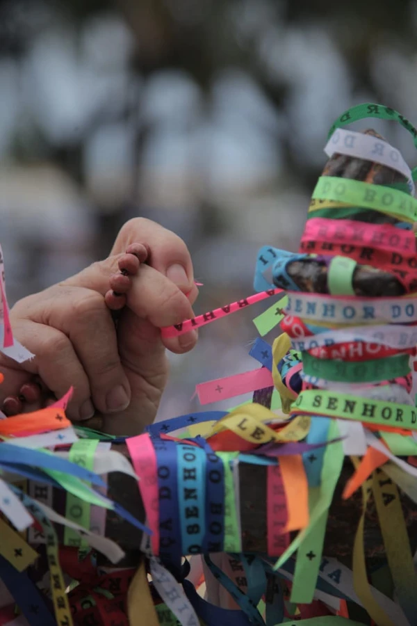 Dia de agradecer por Sora Maia/CORREIO