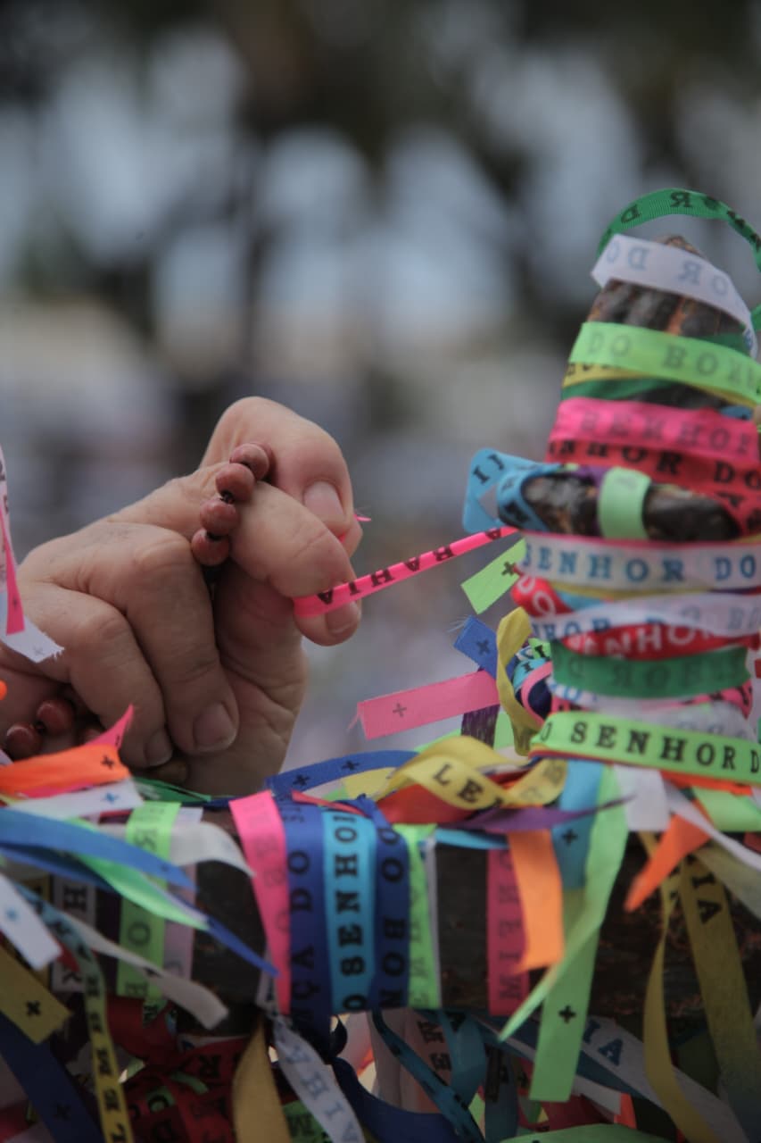 Dia de agradecer por Sora Maia/CORREIO