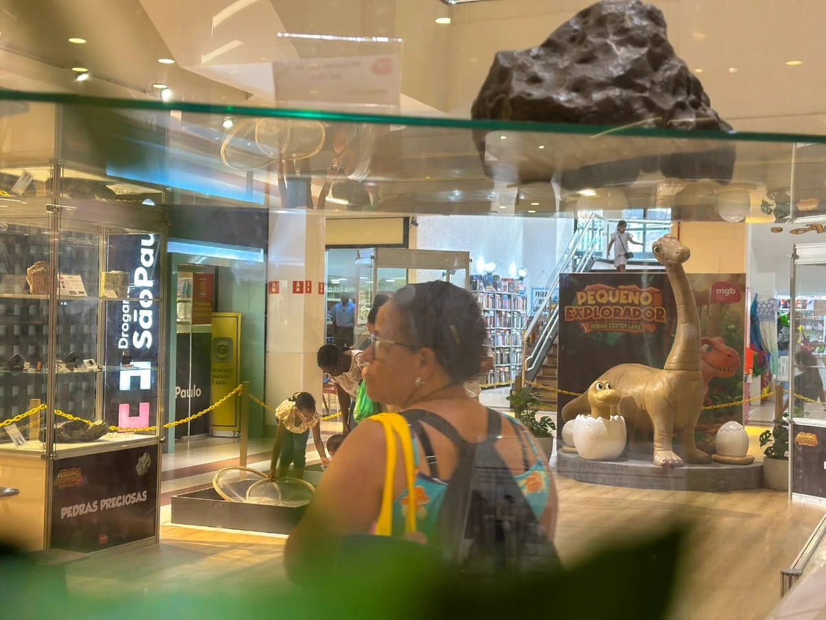 Gratuita, a exposição 'Pequeno Explorador' vai até dia 31 por Shopping Center Lapa/Divulgação