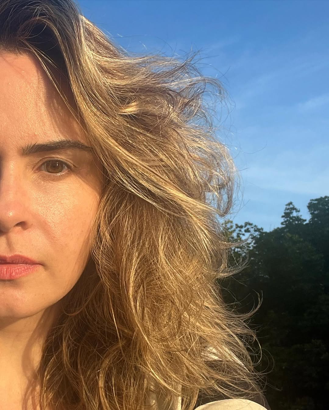 Ana Paula Renault por Reprodução/Instagram