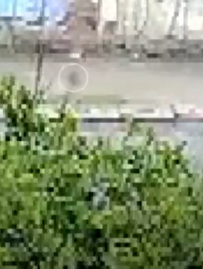 O menino de sete anos desaparece nas imagens, ele foi arrastado pela enxurrada por Reprodução