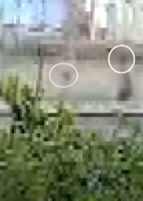 Nas imagens, é possível ver os dois chegando ao local por Reprodução