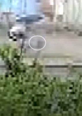 Ele ajuda a resgatar o menino que ainda estava na água por Reprodução