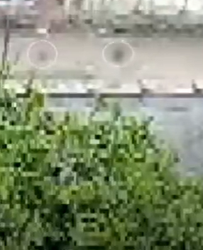 Eles entram no córrego por Reprodução