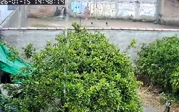 Os meninos brincavam no córrego por Reprodução