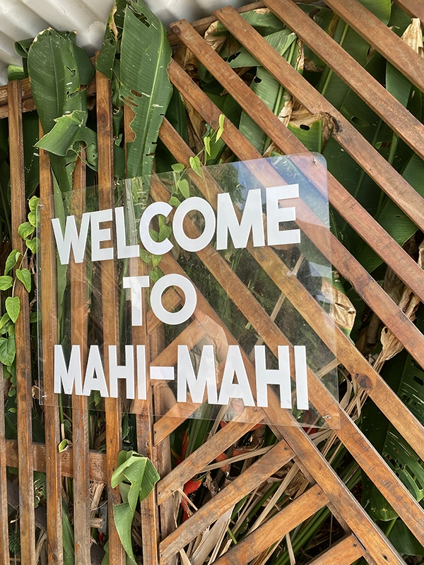 Mahi Mahi por Divulgação 