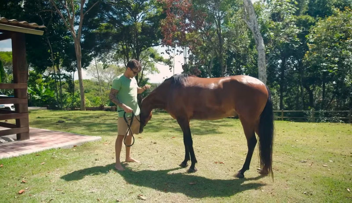 Conheça detalhes do sítio de Daniel Cady por Reprodução