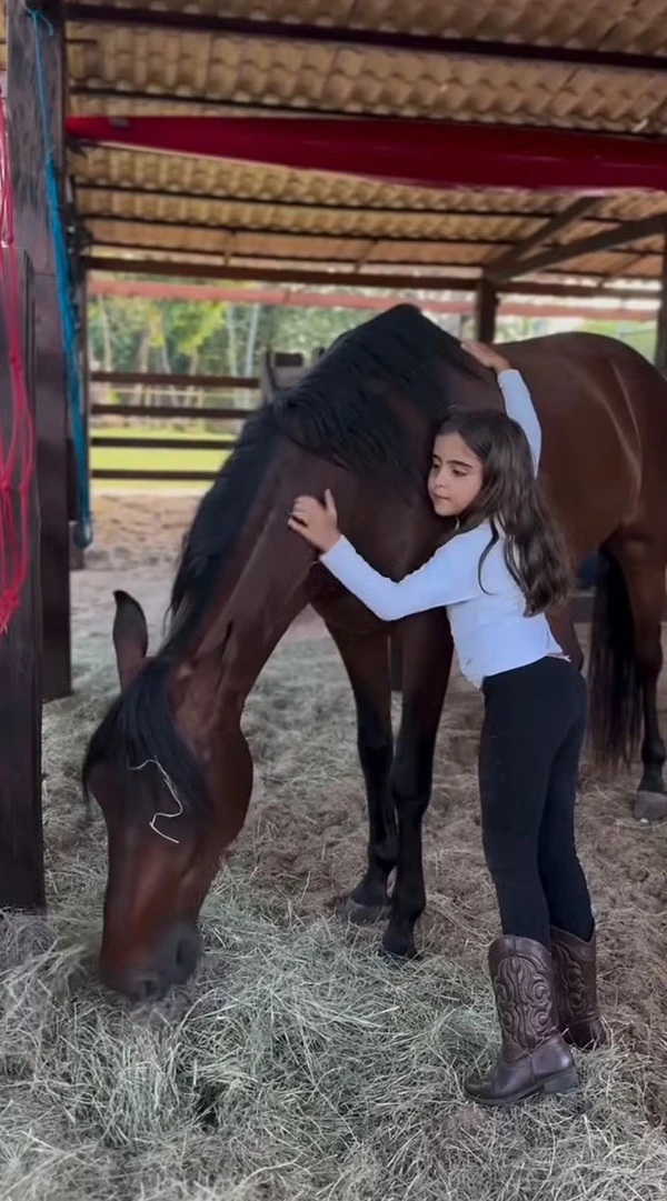 Conheça o sítio onde Daniel Cady está morando após separação por Reprodução