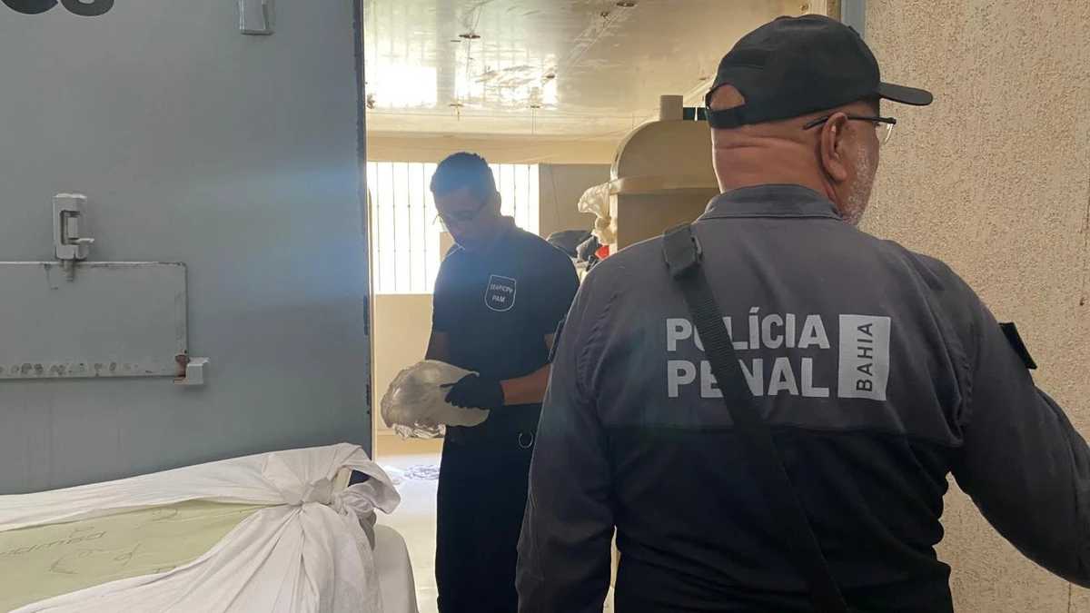 Foram encontradas lâminas improvisadas, pedaços de madeira, escovas e materiais plásticos adaptados, além de fios e fitas utilizados para empunhadura por Divulgação/Seap