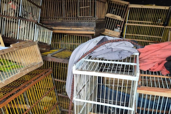 Animais foram apreendidos em Arapiraca