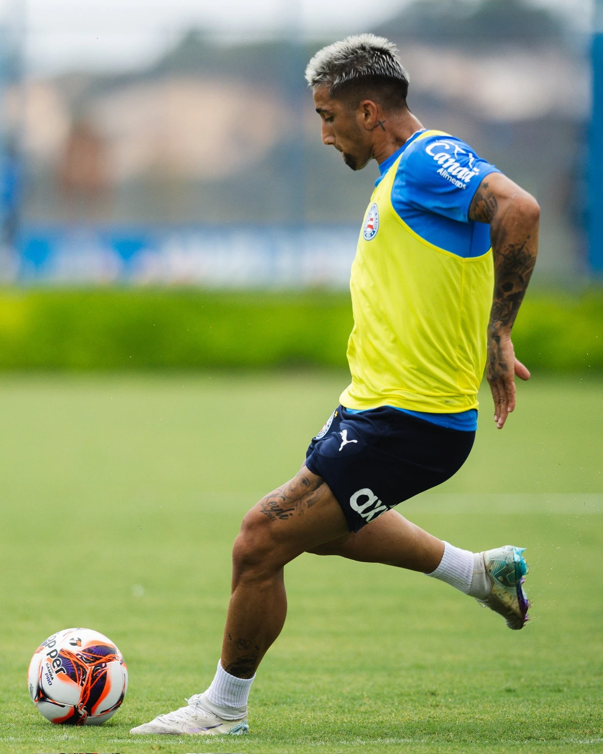 Elenco do Bahia treina em preparação para encarar o Barcelona de Ilhéus por Divulgação/EC Bahia