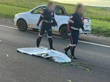 Imagem - Mulher atropelada é declarada morta pelo Samu, deixada na pista e reanimada depois por médico de concessionária