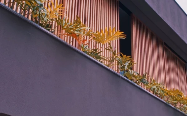 A mansão de Paolla Oliveira aposta em ambientes integrados por Reprodução/YouTube