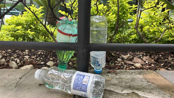 Entenda por que este hábito antigo voltou a ganhar força entre moradores de casas e prédios