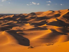 Imagem - Caminhão quebra, e 49 pessoas morrem de sede no deserto do Saara