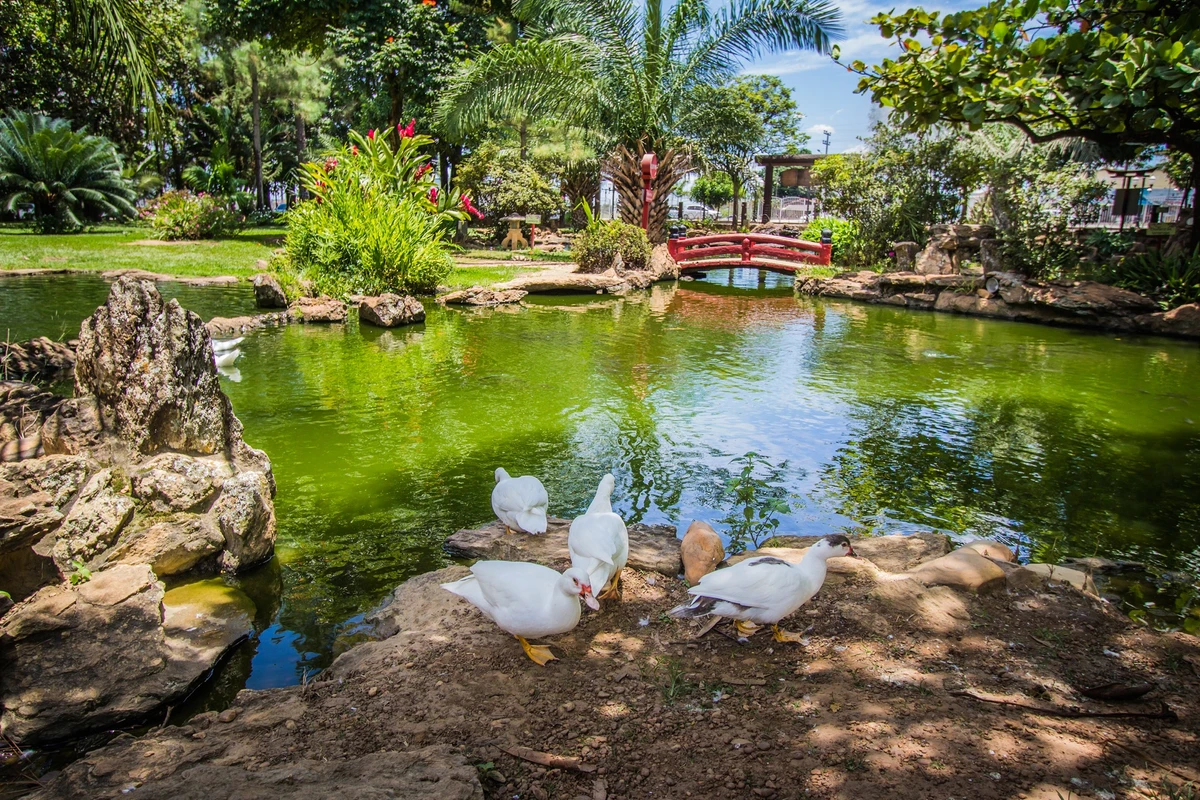 Caldas Novas (GO) – Relaxamento e cuidado por Shutterstock