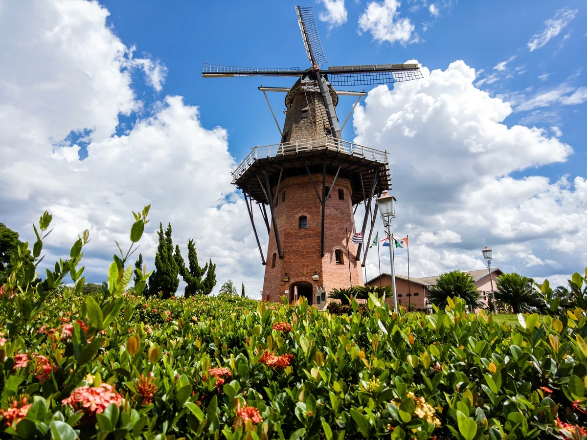 Holambra (SP) – Organização, limpeza e estética bem cuidada por Shutterstock
