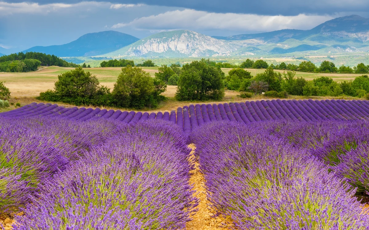 Provença (França) – Beleza e tranquilidade por Shutterstock