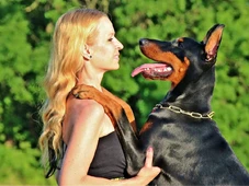 Imagem - 'Iti, malia': o que encontrar um pet na rua e falar com 'vozinha' revela sobre sua personalidade