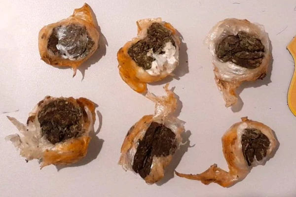 Mulheres foram flagradas tentando entrar em presídio com drogas