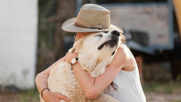 'Nós buscamos o animal e preparamos todo o ambiente para que a família possa começar a elaborar o luto', esclarece