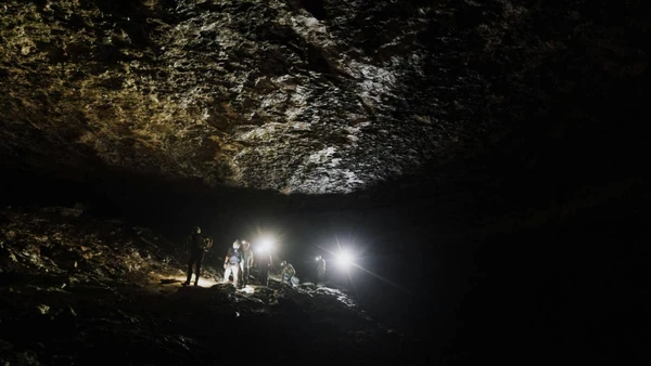 Saiba como o clima seco da Arábia preservou múmias de felinos por quase dois mil anos
