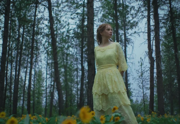 Sonhos de Trem por Reprodução