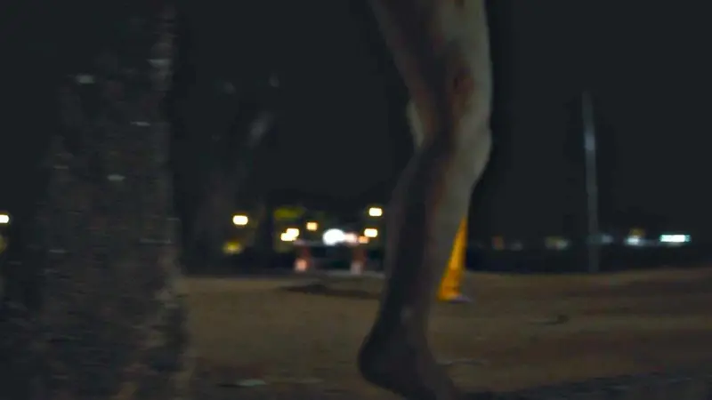 Cena da Perna Cabeluda em 'O Agente Secreto' por Divulgação