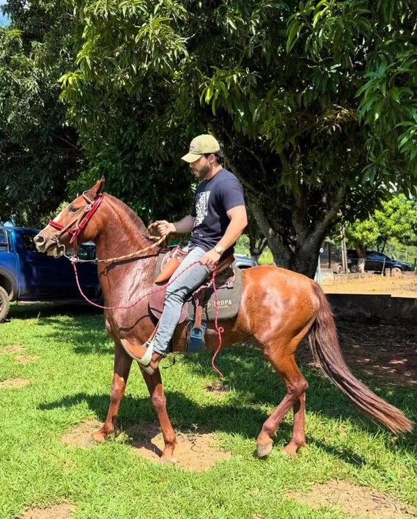Murilo Huff e Leo em sua fazenda por Reprodução
