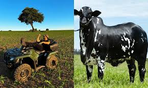 Murilo Huff e Leo em sua fazenda por Reprodução